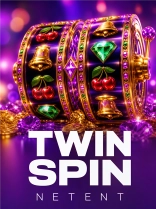 Twin Spin