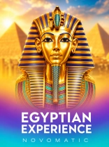 Egyptian Experience
