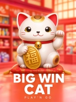 Big Win Cat