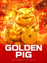 Golden Pig
