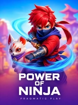 Power of Ninja