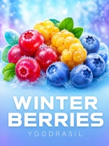 Winter Berries